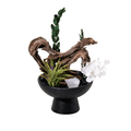 Obsidian Shield – Protection Crystal Oil Diffuser with Black Sand